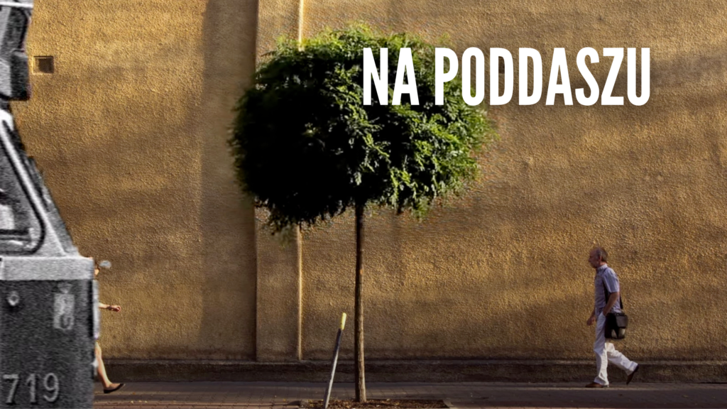 Pastor Maria Dąbrowska w programie “Na poddaszu”